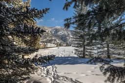 Perfect Location - Image 5