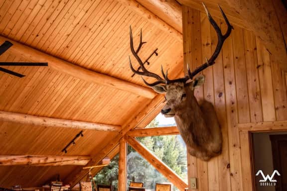 Lucky River Cabin - Image 5