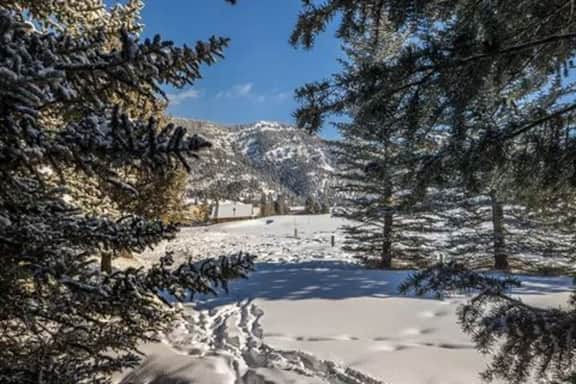 Perfect Location - Image 5
